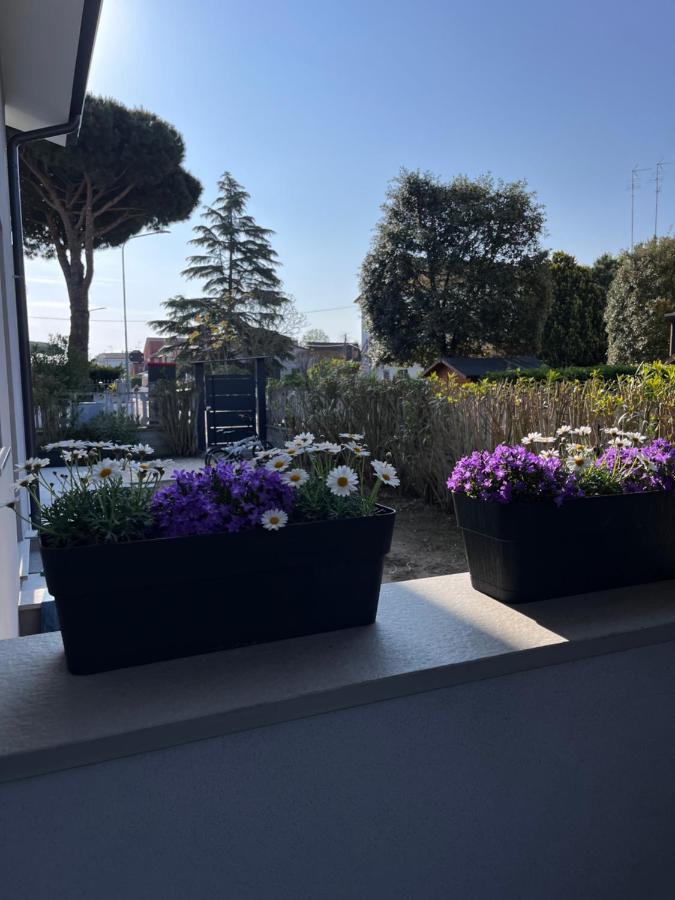 B&B A Due Passi Dal Mare Lido di Pomposa Ngoại thất bức ảnh
